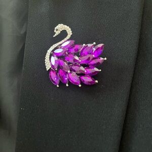 Fashion Trend 2024-2025.   Swan Brooch